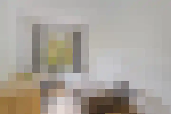Tweelingenlaan 22 Son en Breugel thumbnail 19