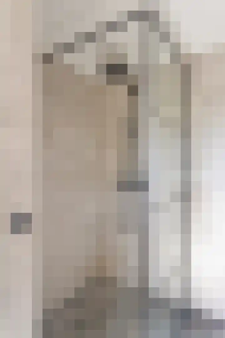 Tweelingenlaan 22 Son en Breugel thumbnail 23