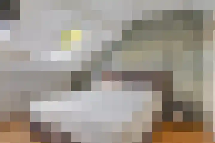 Tweelingenlaan 22 Son en Breugel thumbnail 25