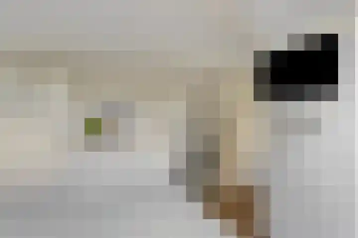 Tweelingenlaan 22 Son en Breugel thumbnail 26