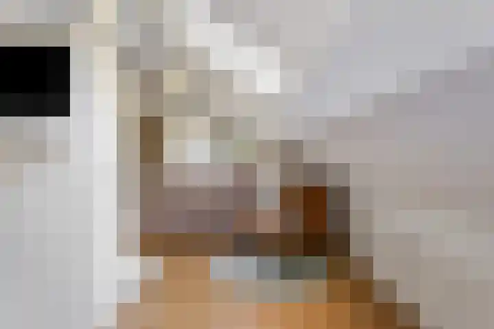 Tweelingenlaan 22 Son en Breugel thumbnail 27