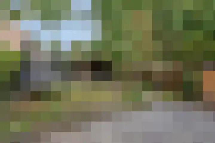 Tweelingenlaan 22 Son en Breugel thumbnail 28