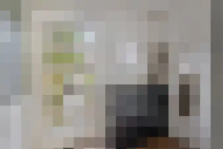 Tweelingenlaan 22 Son en Breugel foto 3