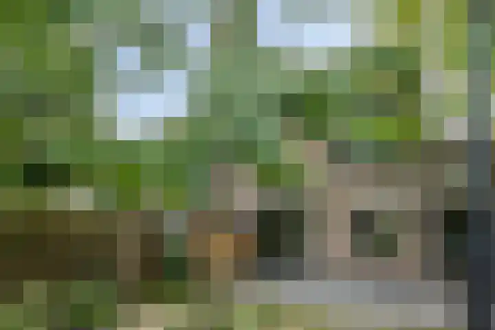 Tweelingenlaan 22 Son en Breugel thumbnail 30