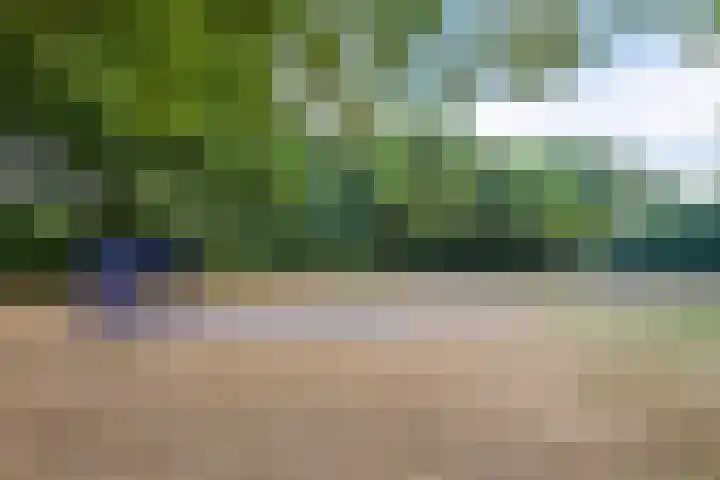Tweelingenlaan 22 Son en Breugel thumbnail 33