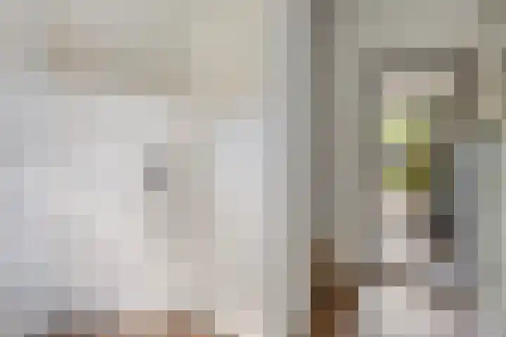 Tweelingenlaan 22 Son en Breugel thumbnail 4