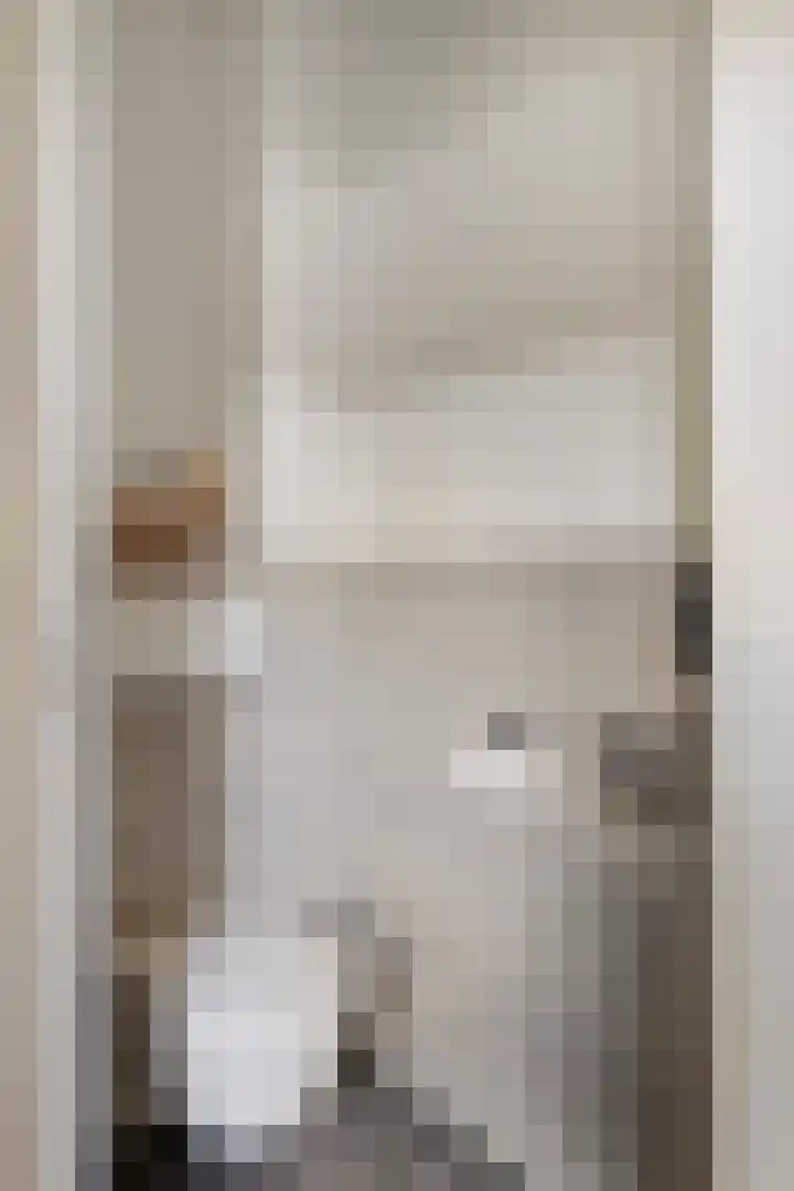 Tweelingenlaan 22 Son en Breugel thumbnail 5