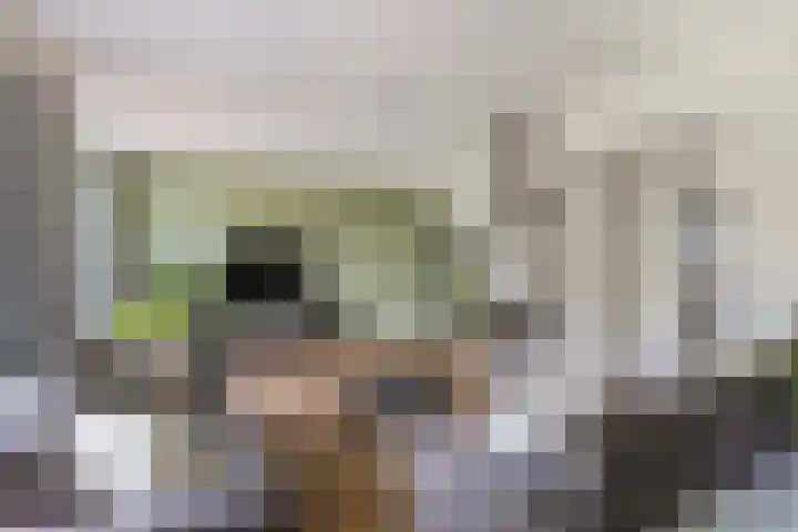 Tweelingenlaan 22 Son en Breugel thumbnail 8