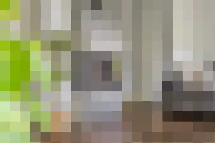 Tweelingenlaan 22 Son en Breugel thumbnail 9