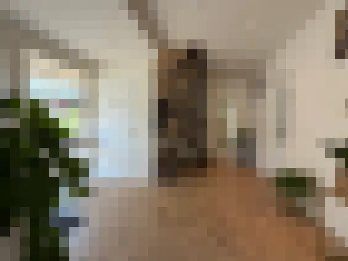 Tweelingenlaan 29 Eindhoven thumbnail 4
