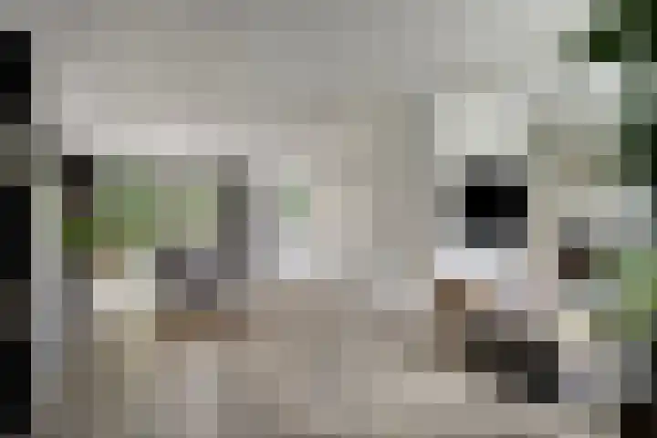 Tweelingenlaan 3 Eindhoven thumbnail 10