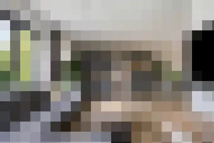 Tweelingenlaan 3 Eindhoven thumbnail 11
