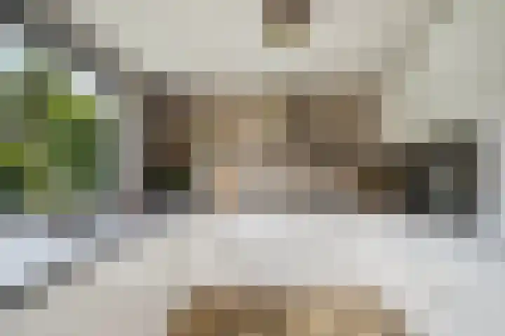 Tweelingenlaan 3 Eindhoven thumbnail 13
