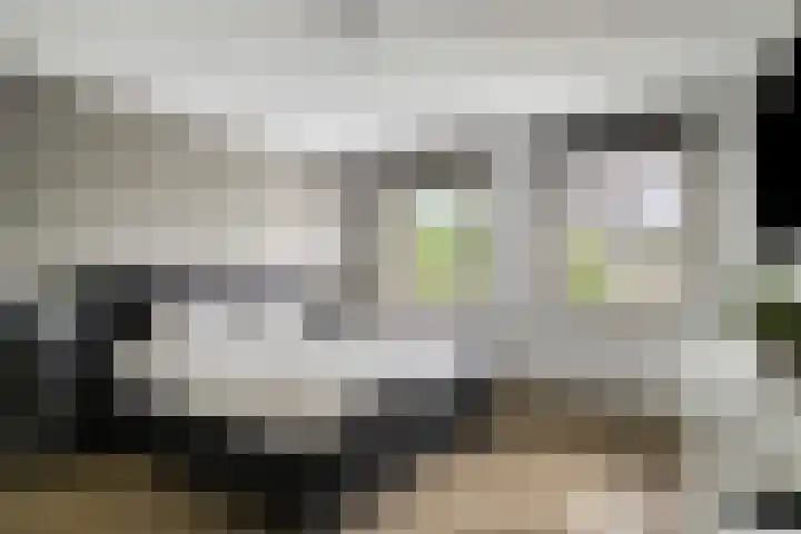 Tweelingenlaan 3 Eindhoven thumbnail 15