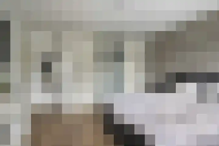 Tweelingenlaan 3 Eindhoven thumbnail 16