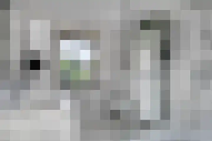 Tweelingenlaan 3 Eindhoven thumbnail 17