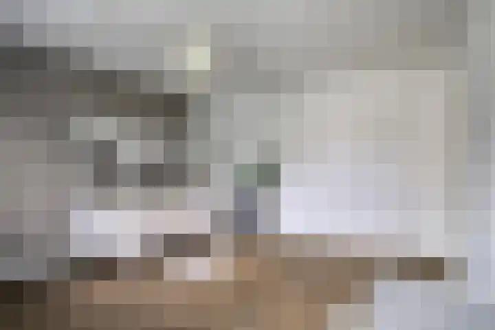 Tweelingenlaan 3 Eindhoven thumbnail 20