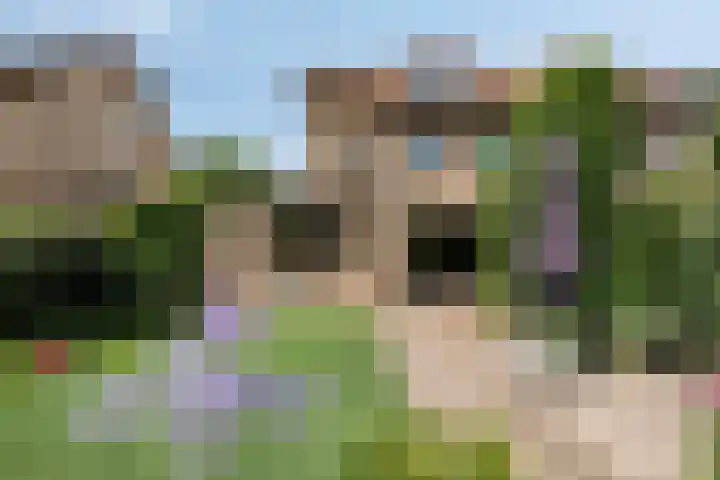 Tweelingenlaan 3 Eindhoven thumbnail 26