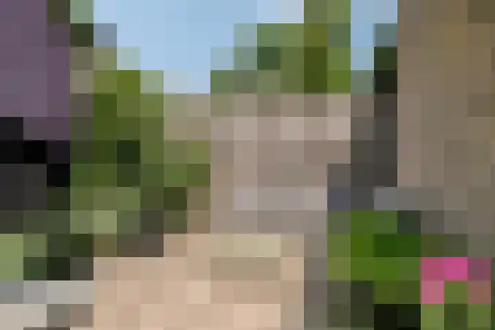 Tweelingenlaan 3 Eindhoven thumbnail 29