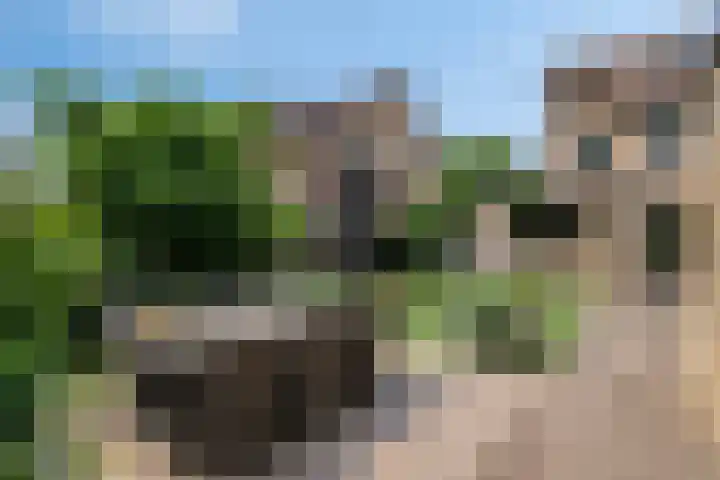 Tweelingenlaan 3 Eindhoven thumbnail 30