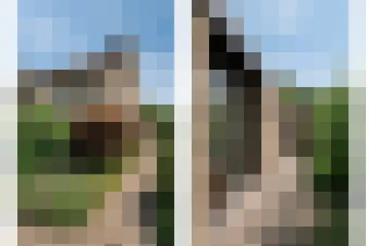 Tweelingenlaan 3 Eindhoven thumbnail 32