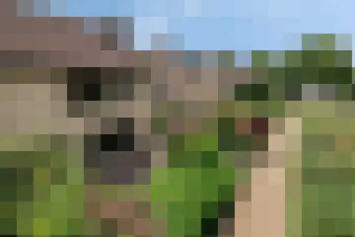 Tweelingenlaan 3 Eindhoven thumbnail 33