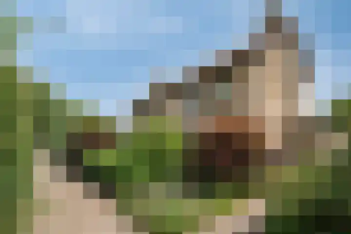Tweelingenlaan 3 Eindhoven thumbnail 34