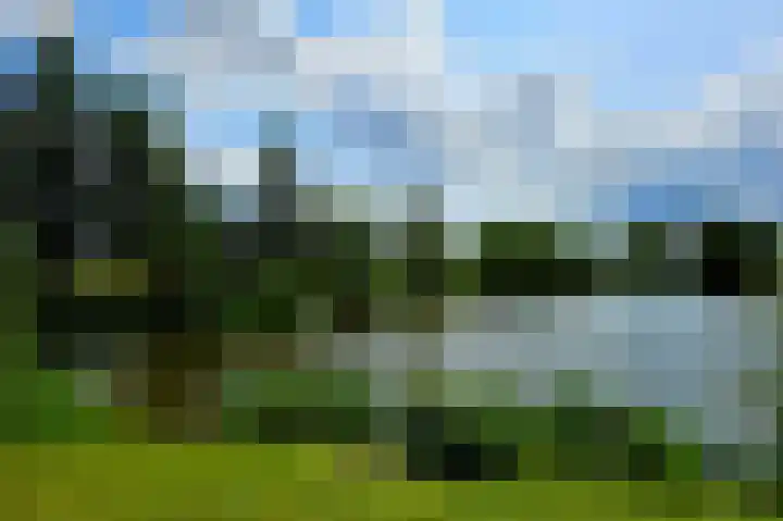 Tweelingenlaan 3 Eindhoven thumbnail 35