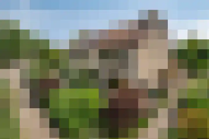 Tweelingenlaan 3 Eindhoven thumbnail 41