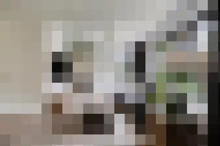Tweelingenlaan 3 Eindhoven thumbnail 9