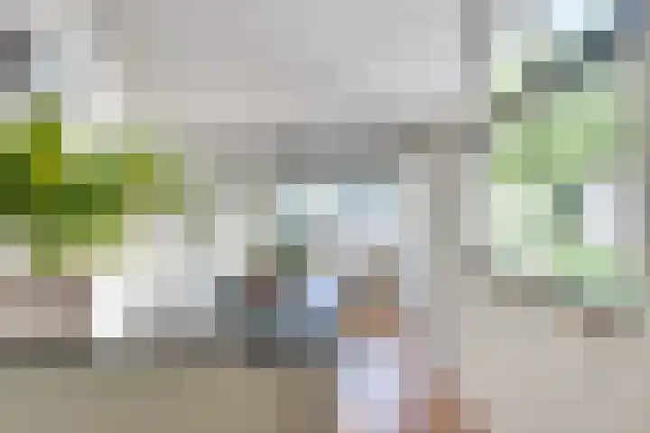 Tweelingenlaan 50 Eindhoven thumbnail 11
