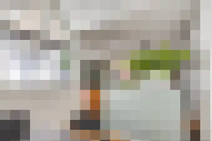 Tweelingenlaan 50 Eindhoven thumbnail 13