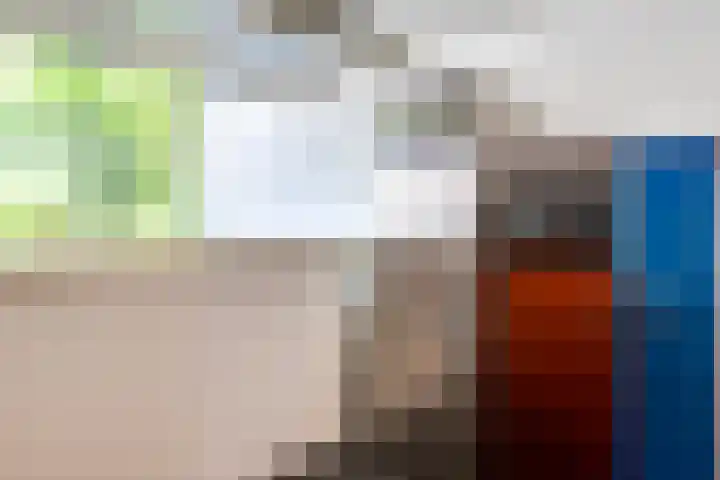 Tweelingenlaan 50 Eindhoven thumbnail 18