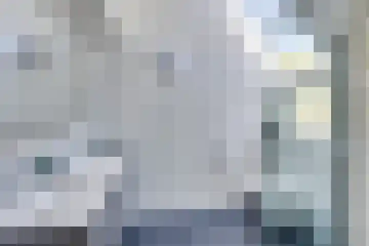 Tweelingenlaan 50 Eindhoven thumbnail 28