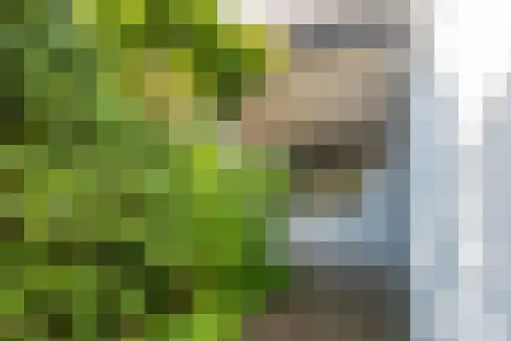 Tweelingenlaan 50 Eindhoven thumbnail 4