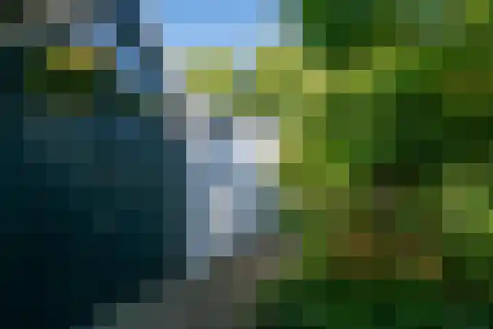 Tweelingenlaan 50 Eindhoven thumbnail 5
