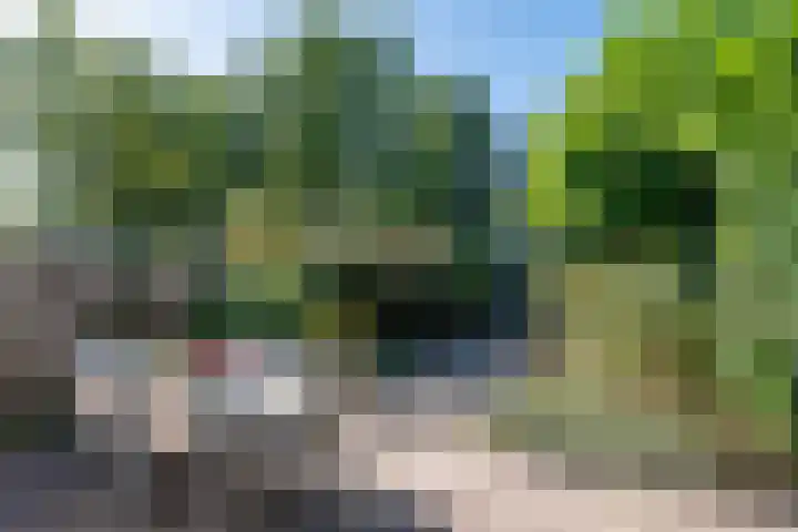 Tweelingenlaan 50 Eindhoven thumbnail 50