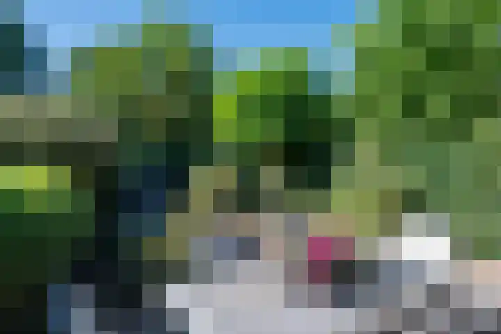 Tweelingenlaan 50 Eindhoven thumbnail 51