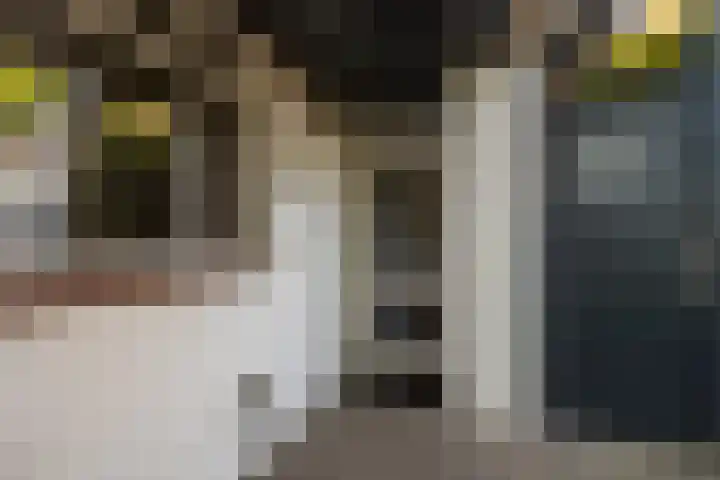 Tweelingenlaan 50 Eindhoven thumbnail 6