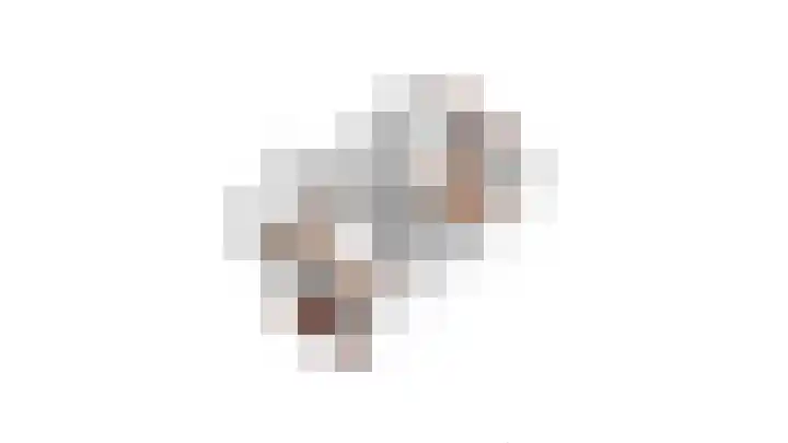 Tweelingenlaan 50 Eindhoven thumbnail 60