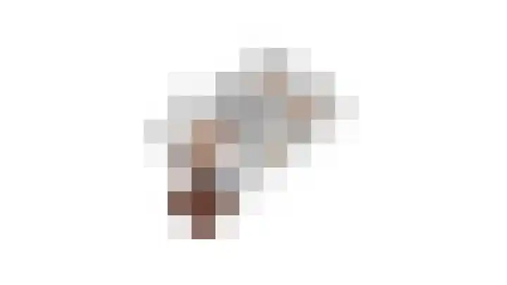Tweelingenlaan 50 Eindhoven thumbnail 61