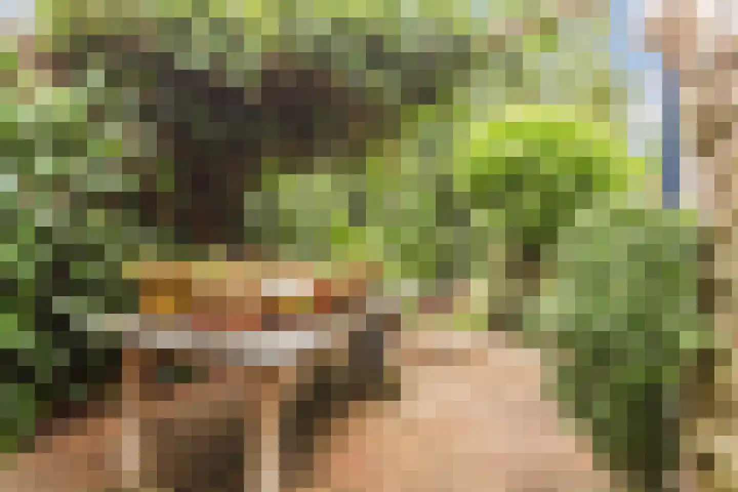 Tweelingenlaan 66 Eindhoven thumbnail 33