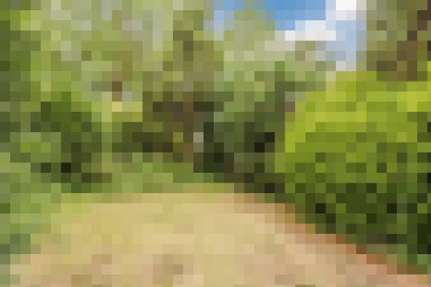 Tweelingenlaan 66 Eindhoven thumbnail 37