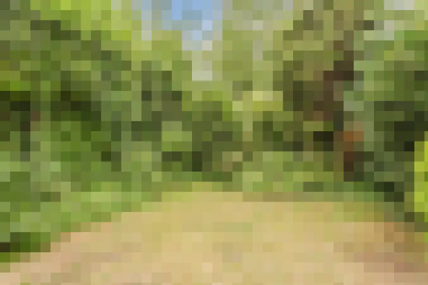 Tweelingenlaan 66 Eindhoven thumbnail 38