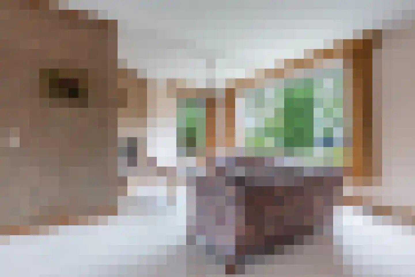 Tweelingenlaan 7 Eindhoven thumbnail 15