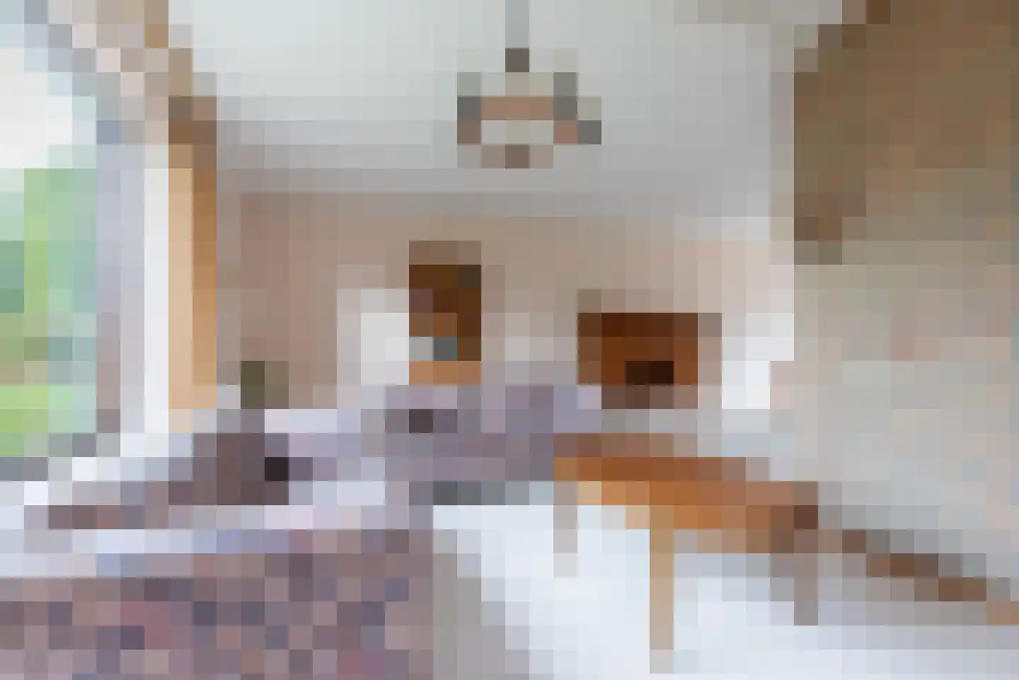 Tweelingenlaan 7 Eindhoven thumbnail 17