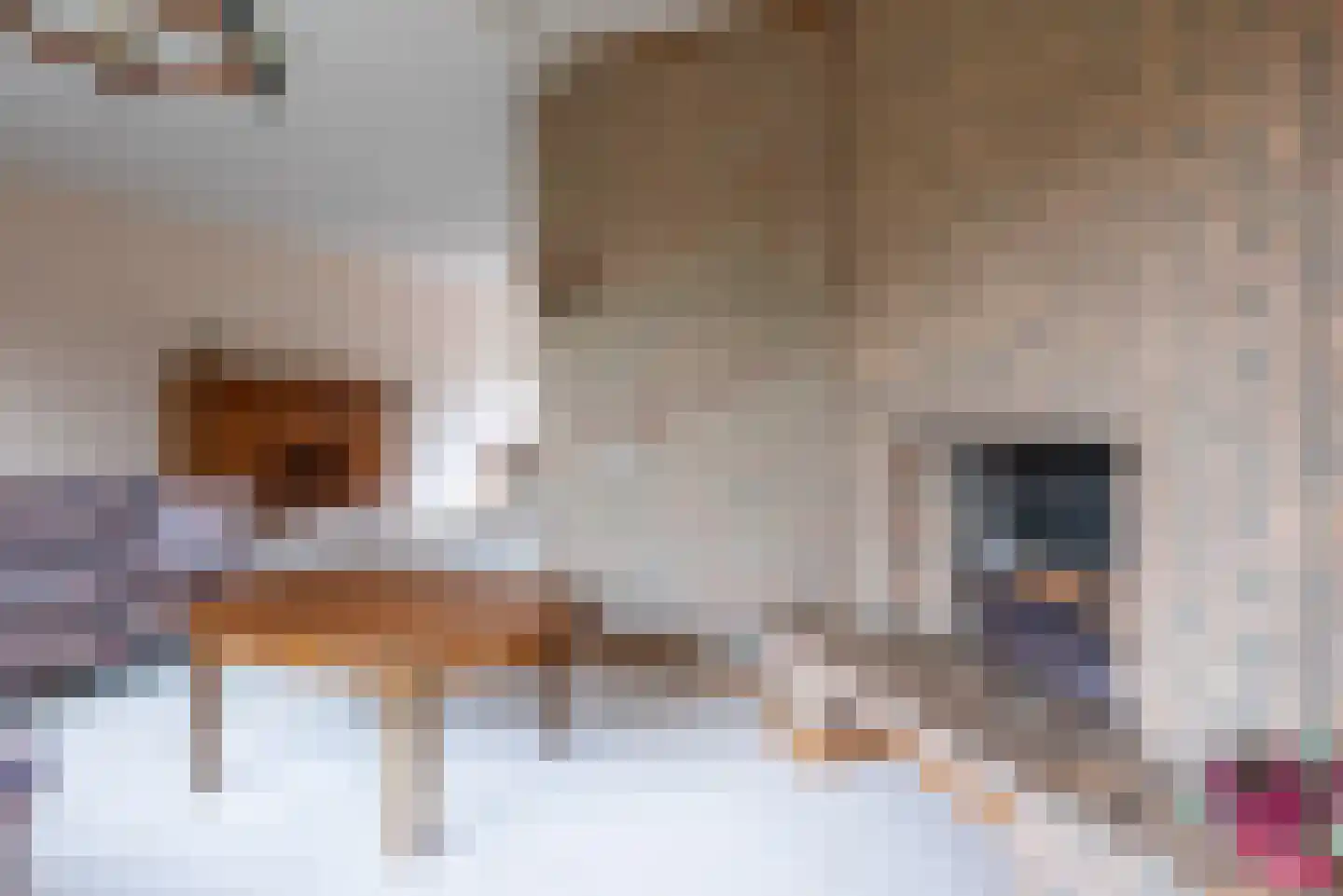 Tweelingenlaan 7 Eindhoven thumbnail 18