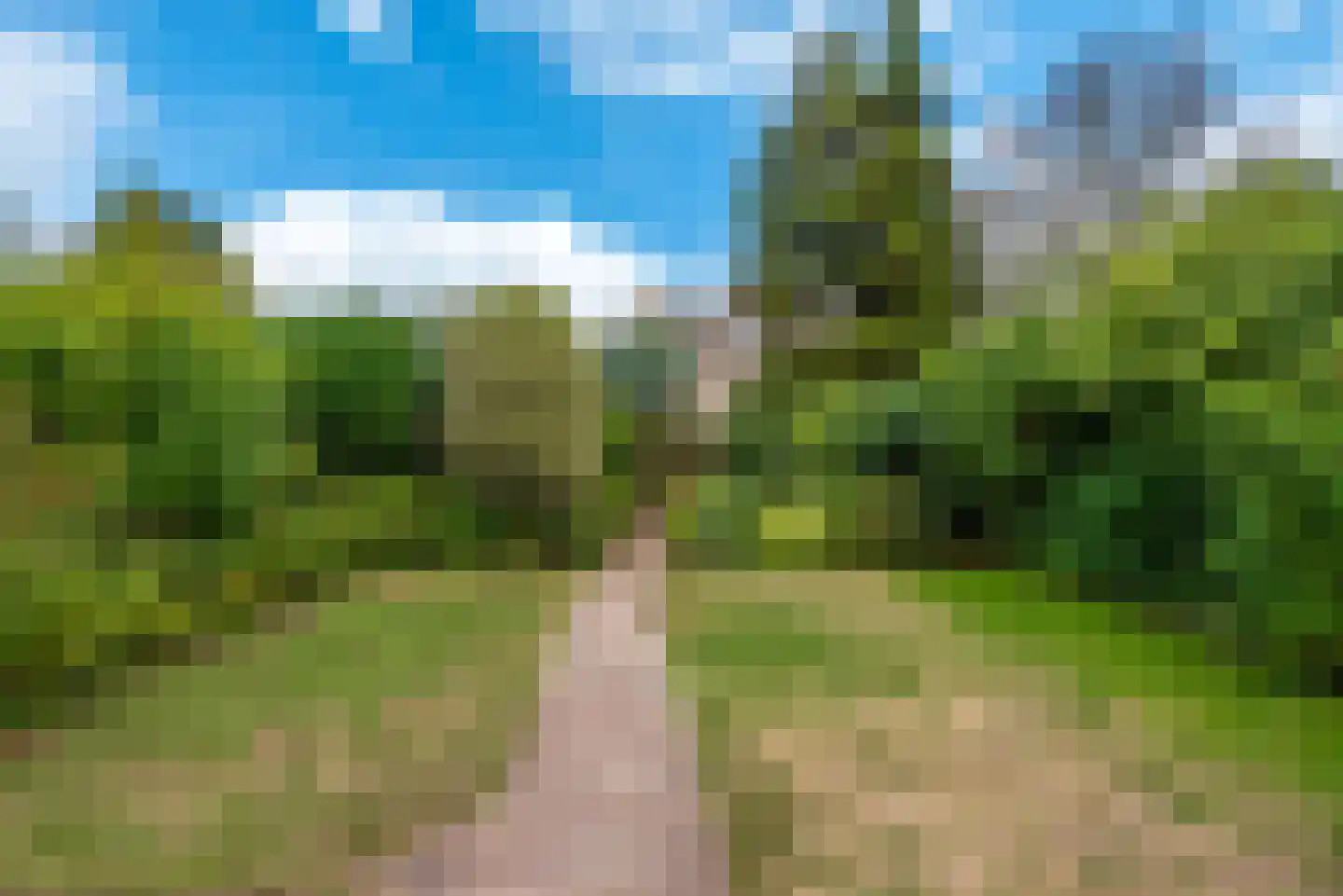 Tweelingenlaan 7 Eindhoven thumbnail 58