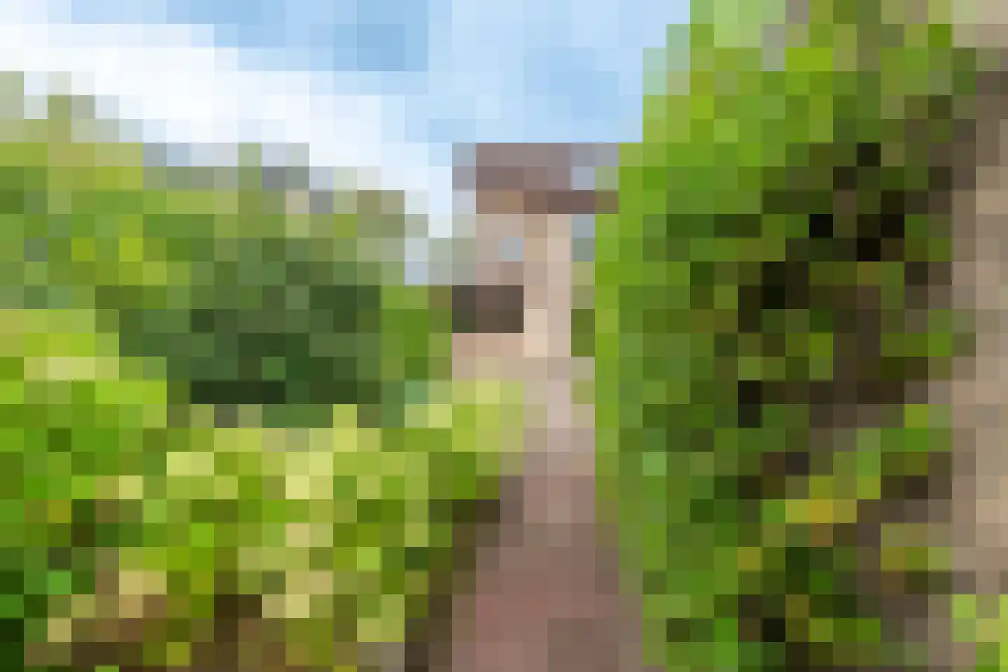 Tweelingenlaan 7 Eindhoven thumbnail 61