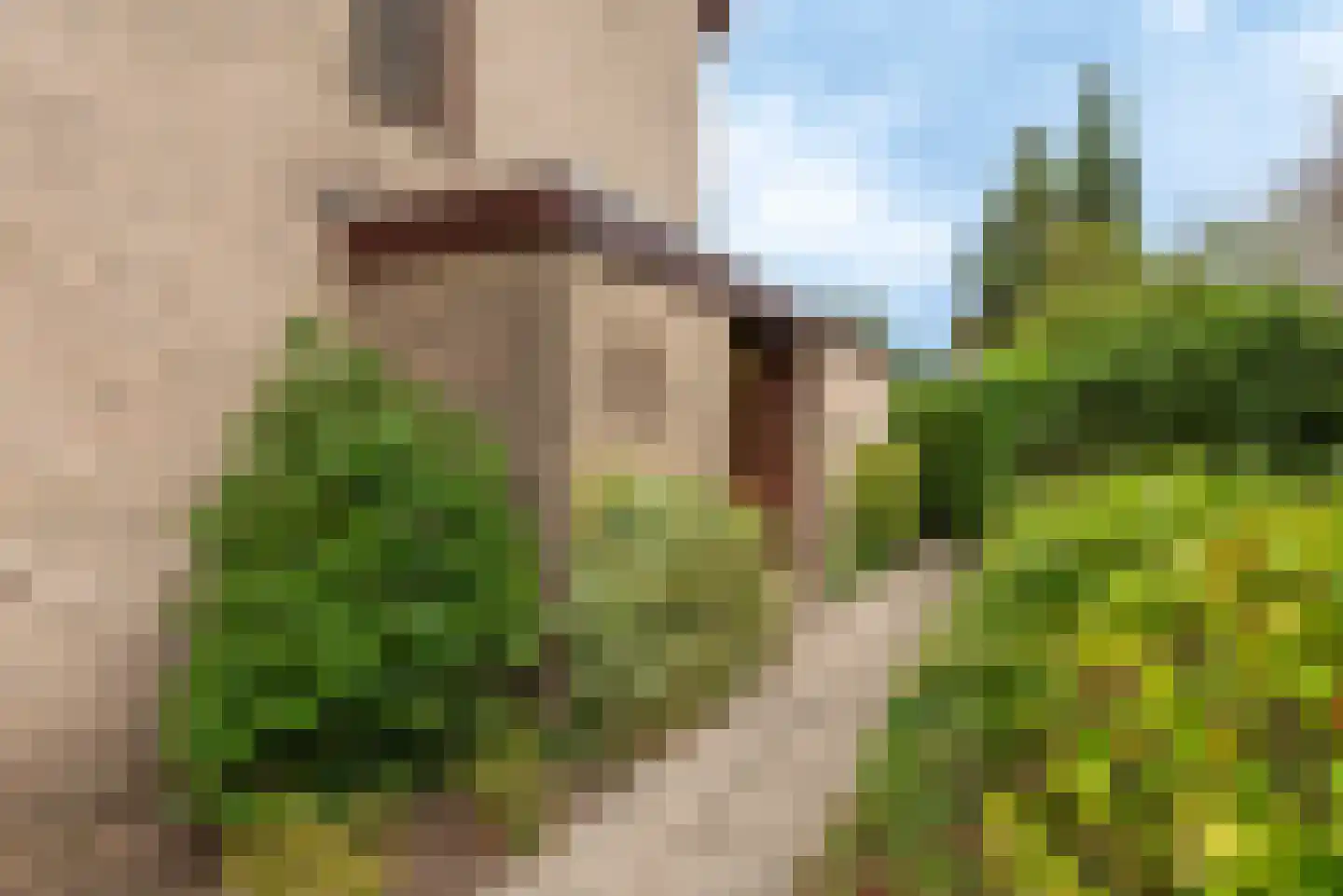 Tweelingenlaan 7 Eindhoven thumbnail 63